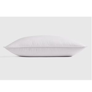 Quince Luxe Goose Down Pillow Standard Soft/Medium NOWT